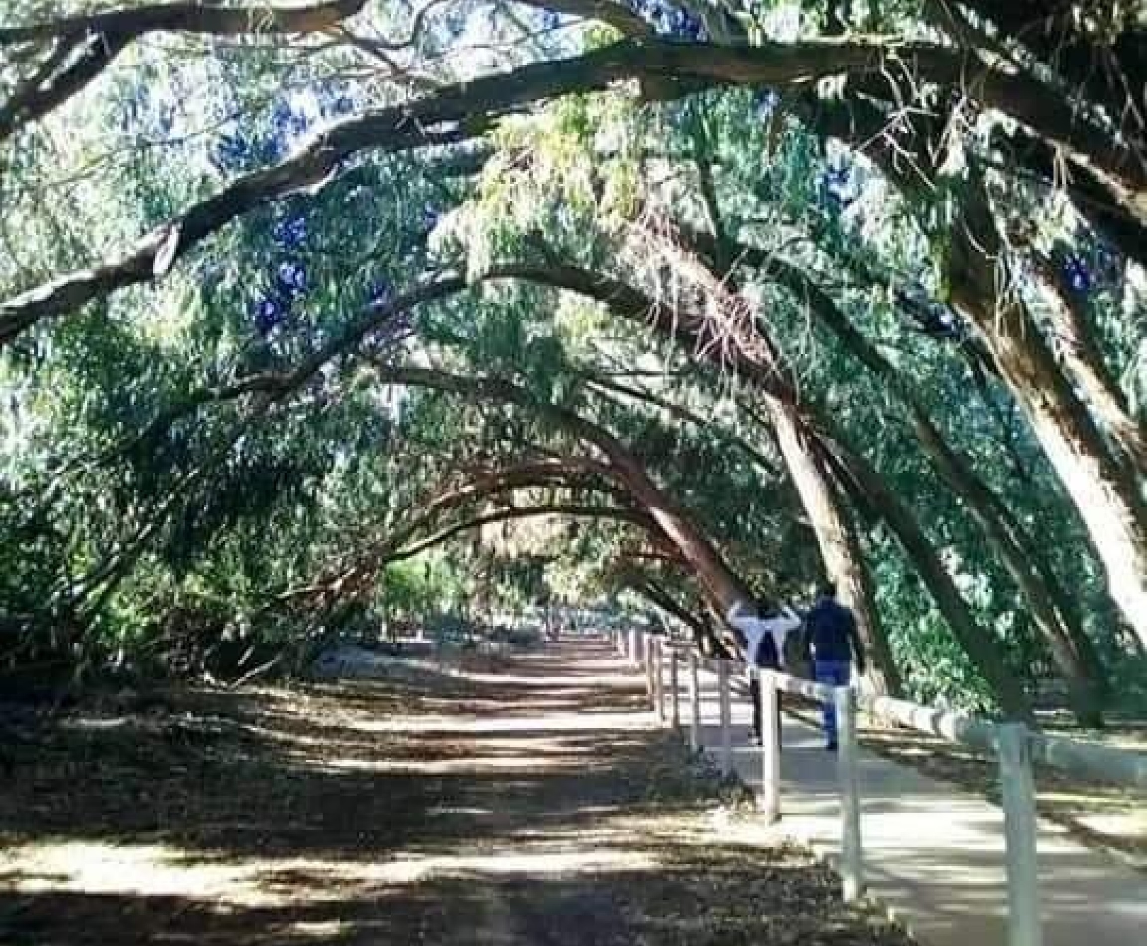 New Build - Bungalow - Torrevieja - Altos del Sol