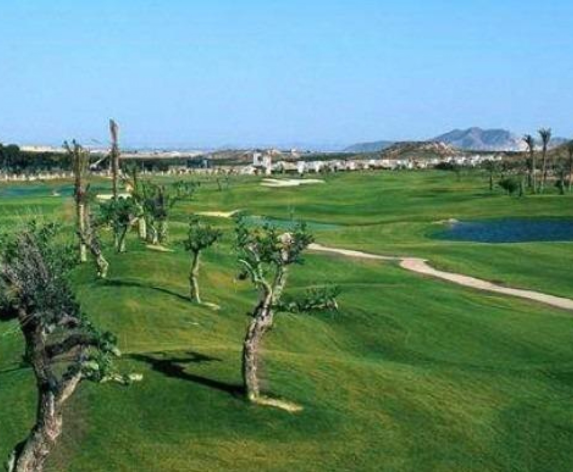 New Build - Villa - Sucina - Peraleja Golf