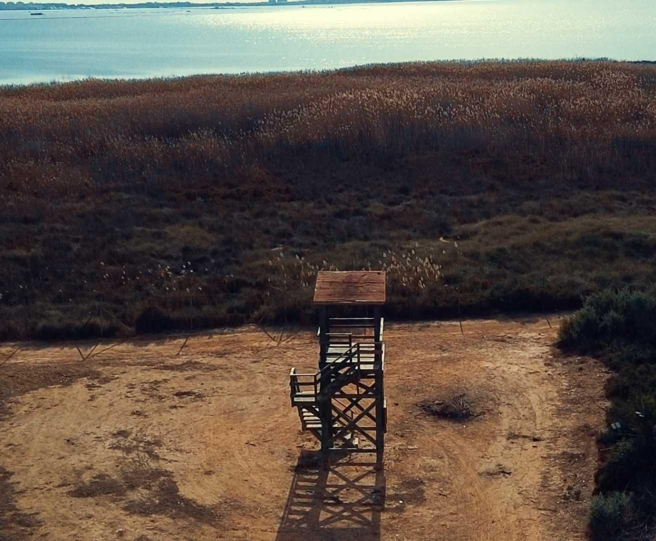 New Build - Villa - Los Montesinos - La Herrada