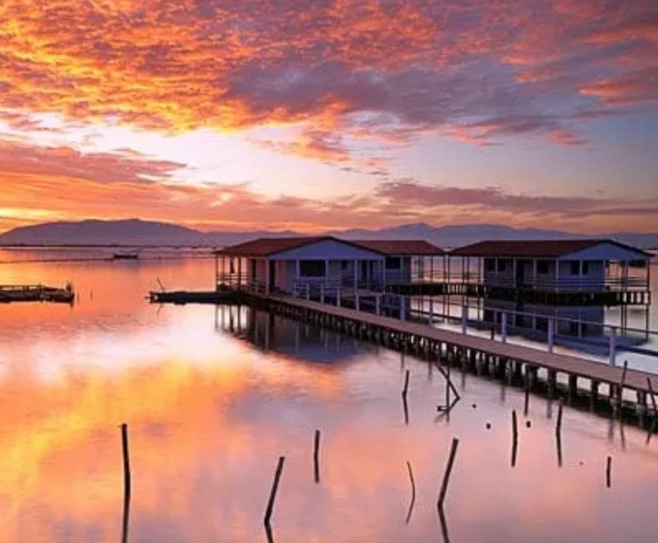 New Build - Bungalow - San Pedro del Pinatar - Los Pinos