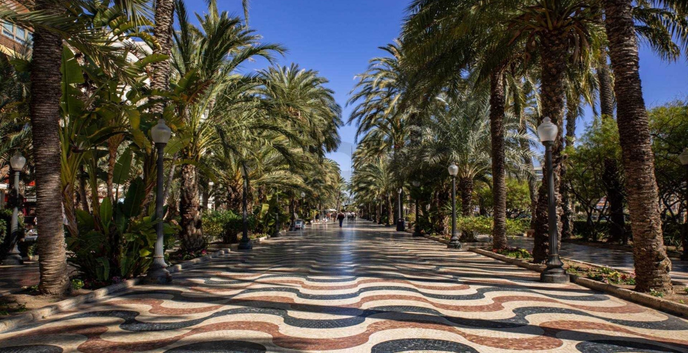 New Build - Apartment - Alicante - Centro