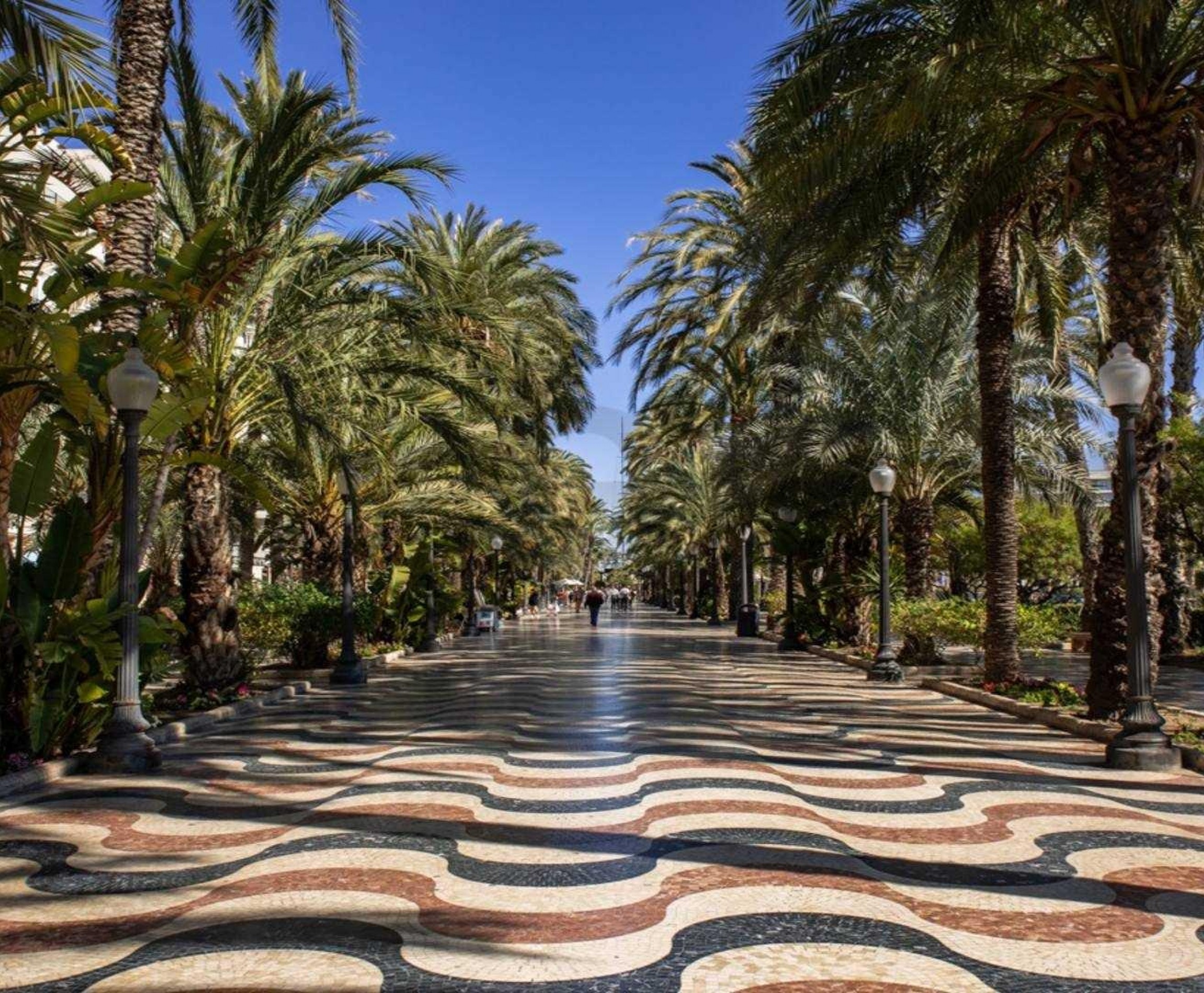 New Build - Apartment - Alicante - Centro