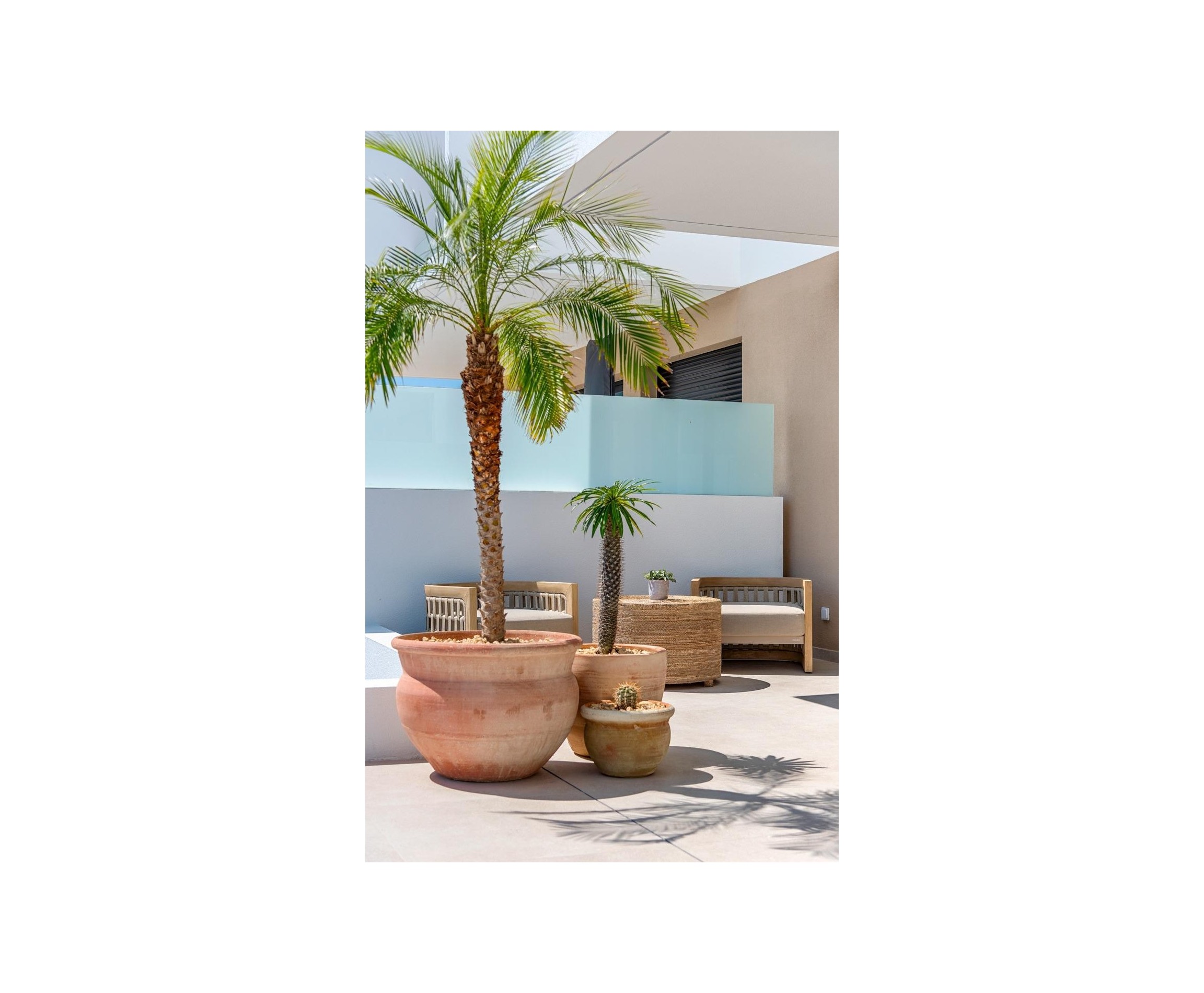 New Build - Town House - Dolores - Sector 3