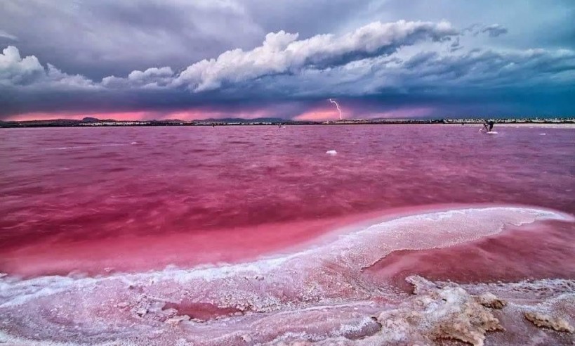 New Build - Apartment - Torrevieja - Centro