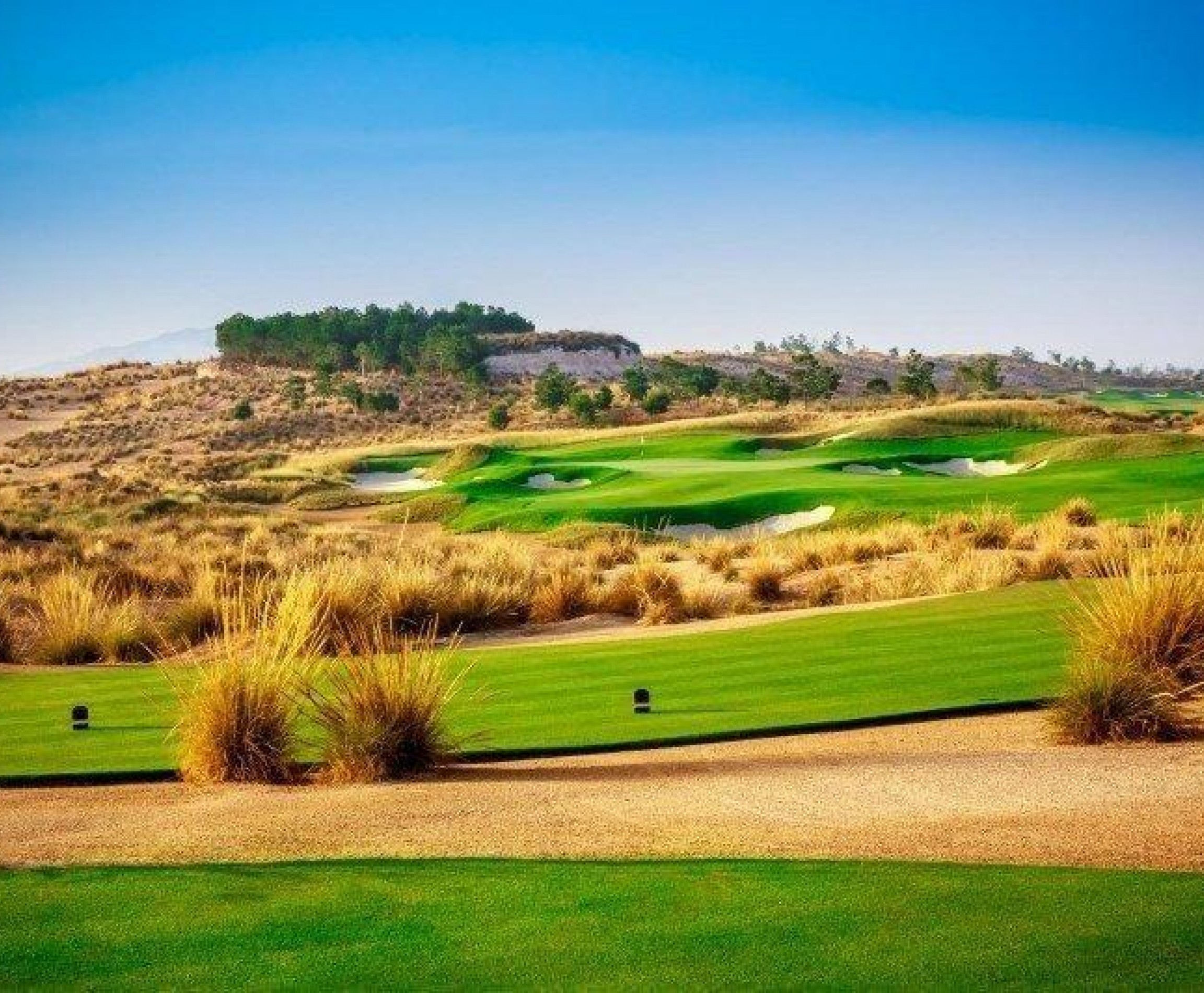 New Build - Villa - Alhama De Murcia - Condado De Alhama