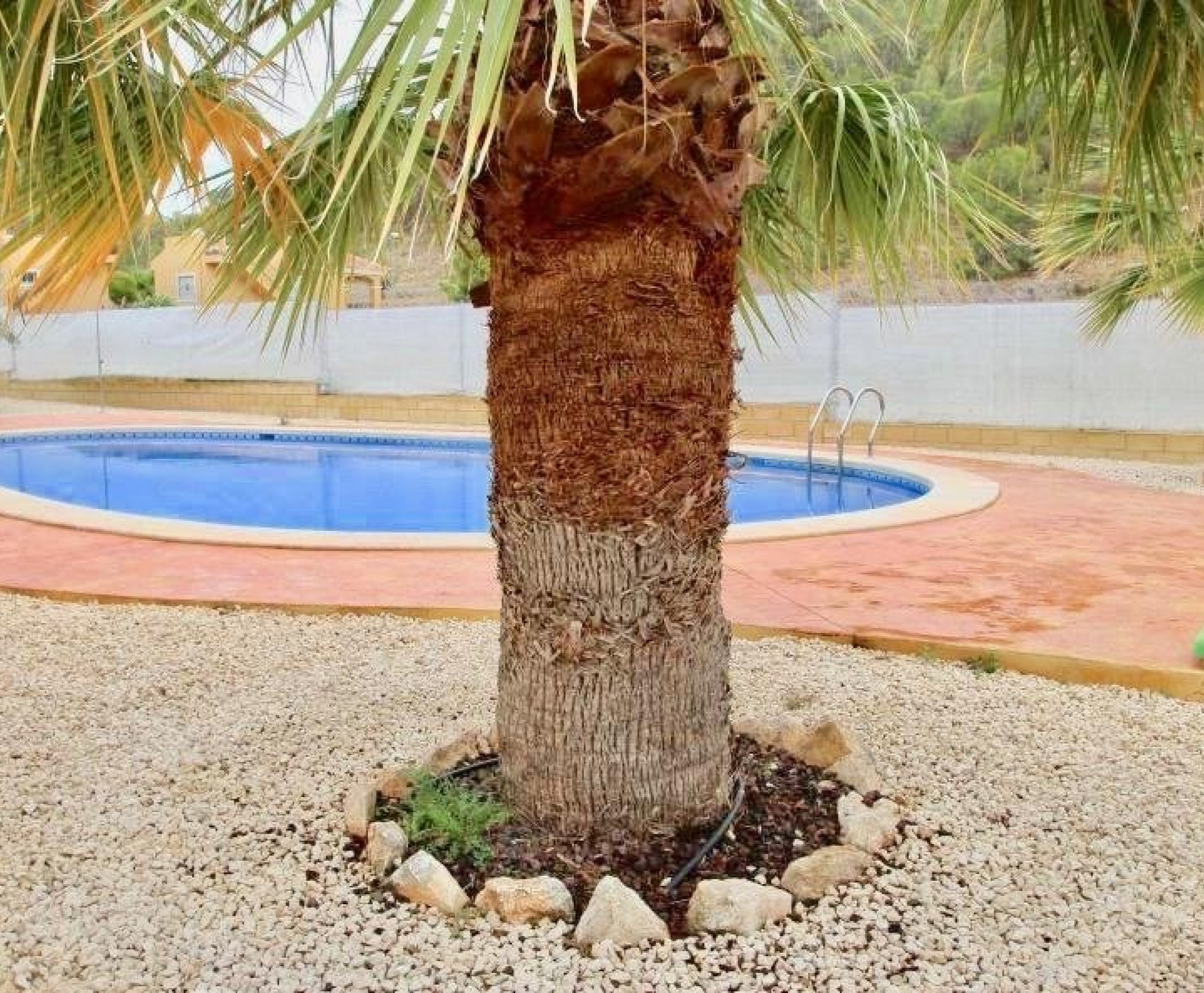 New Build - Villa - La Romana - Villas de la Romana