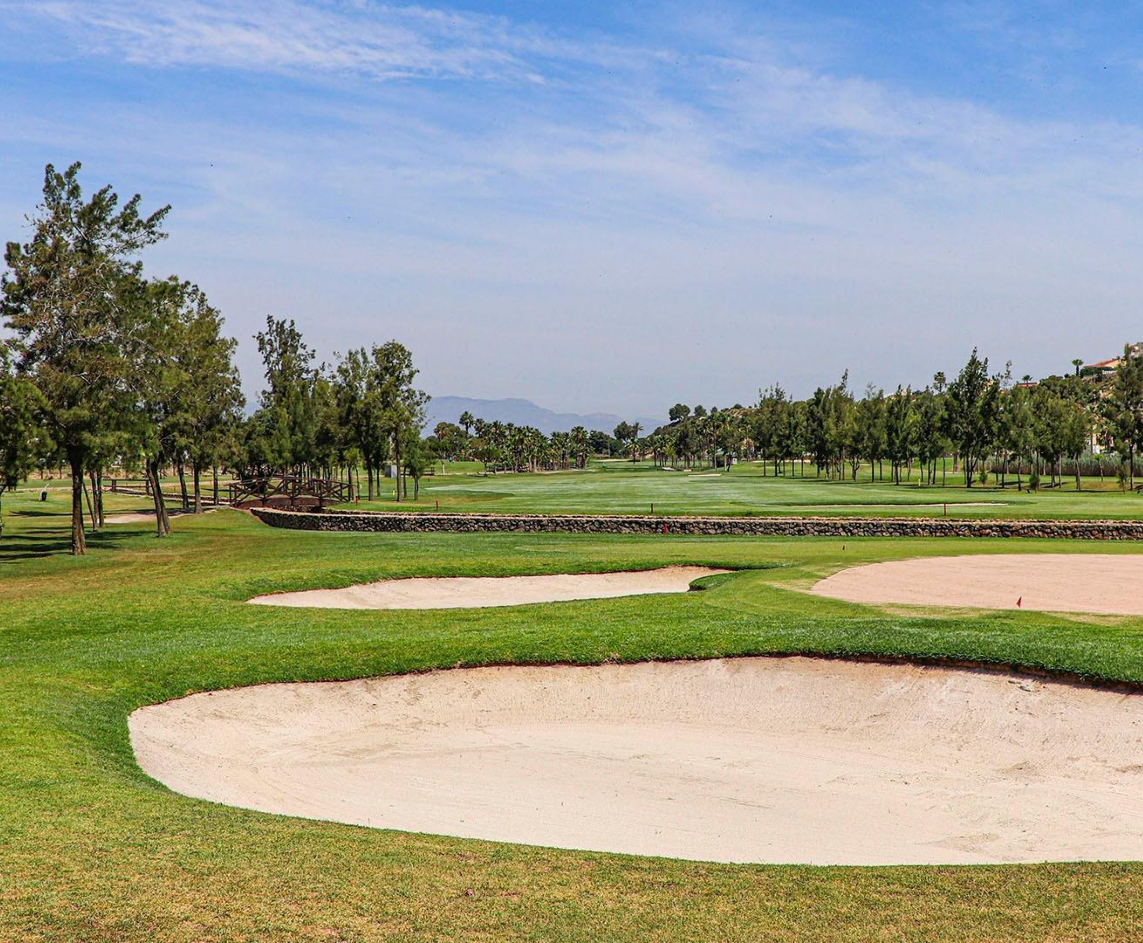 New Build - Villa - Rojales - Ciudad Quesada