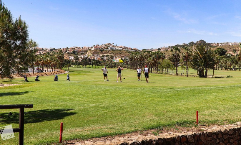 New Build - Villa - Rojales - Ciudad Quesada