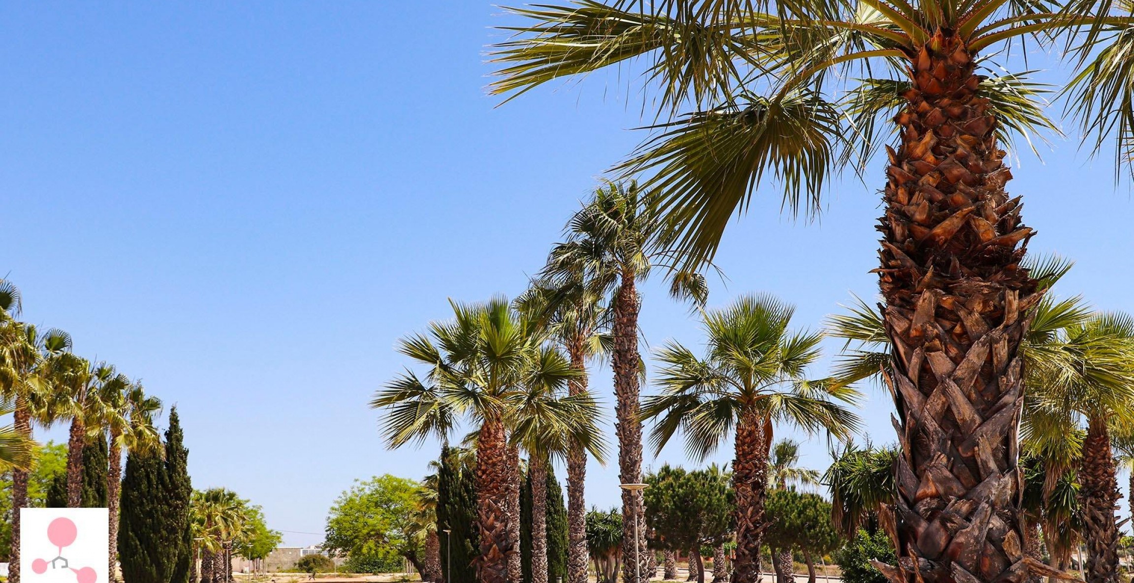 New Build - Villa - San Fulgencio - La Escuera