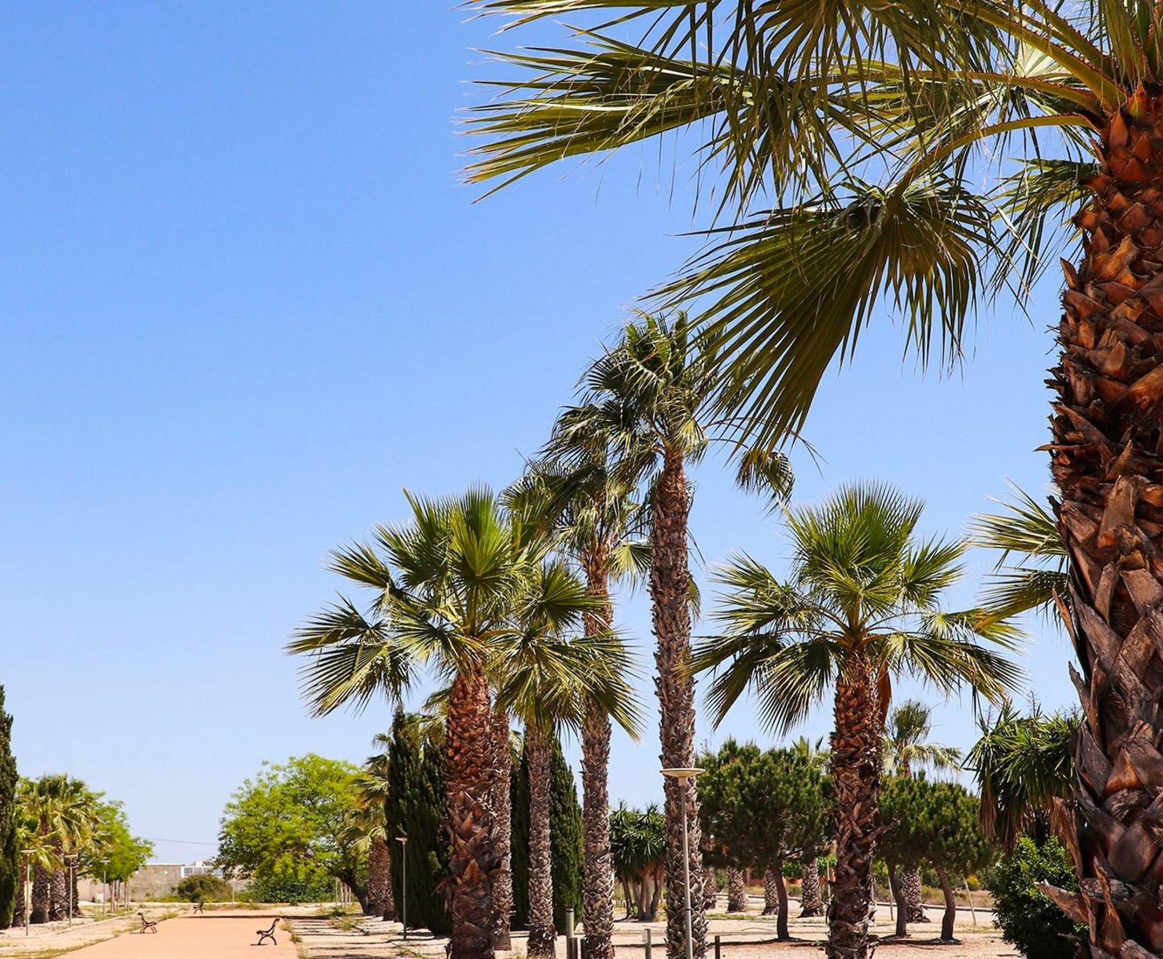 New Build - Villa - San Fulgencio - La Escuera