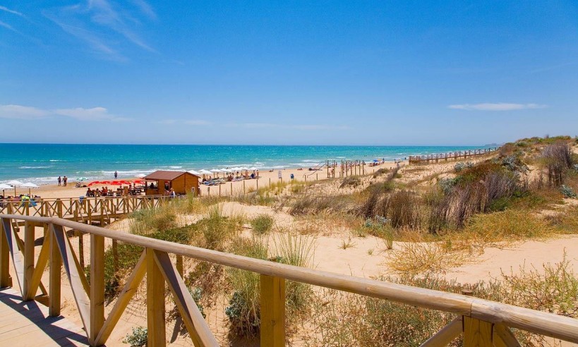 Nybyggnation - Takvåning - Guardamar del Segura - Pueblo