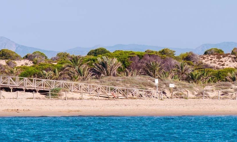 Nybyggnation - Takvåning - Guardamar del Segura - Pueblo