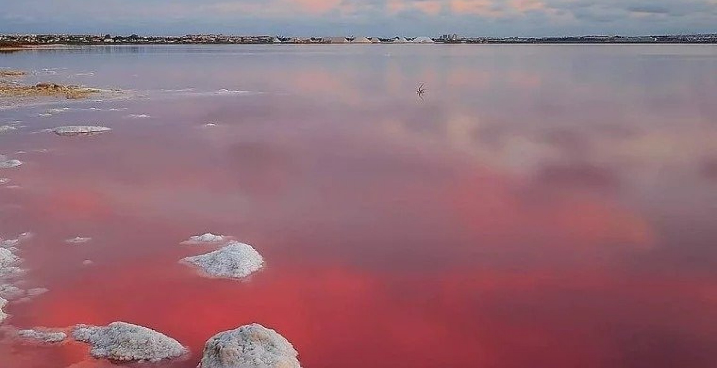 New Build - Bungalow - Torrevieja - Lago Jardín II