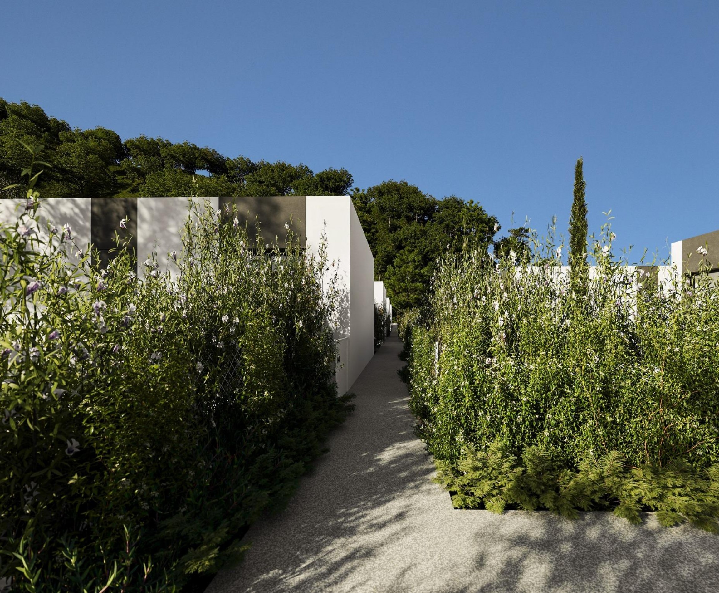 New Build - Villa - Alfaz del Pí - Barranc Fondo