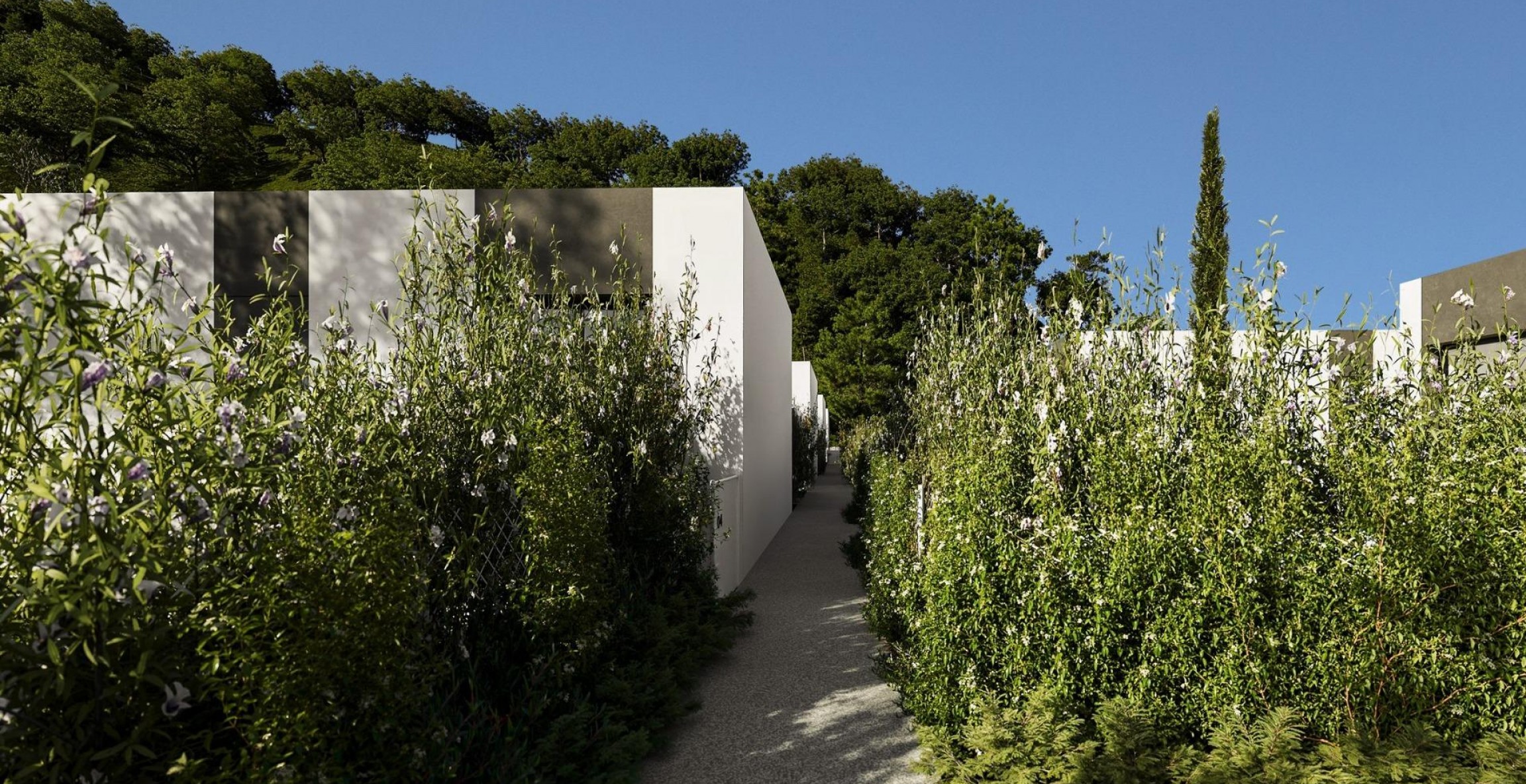 New Build - Villa - Alfaz del Pí - Barranc Fondo