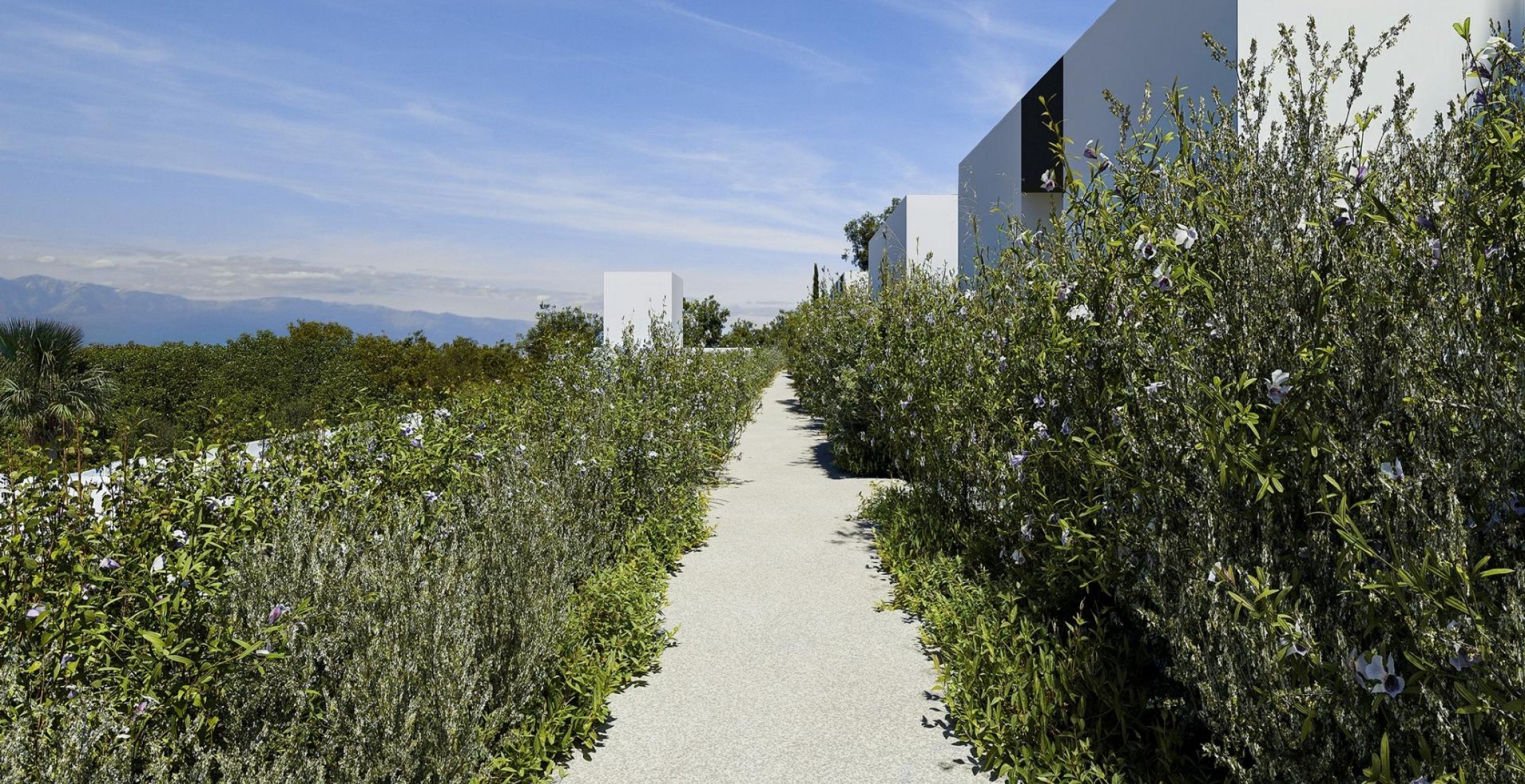 New Build - Villa - Alfaz del Pí - Barranc Fondo