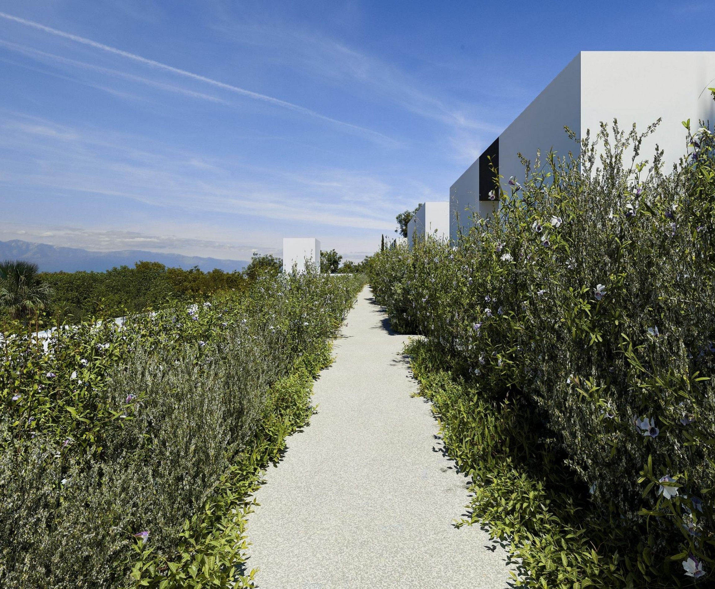 New Build - Villa - Alfaz del Pí - Barranc Fondo