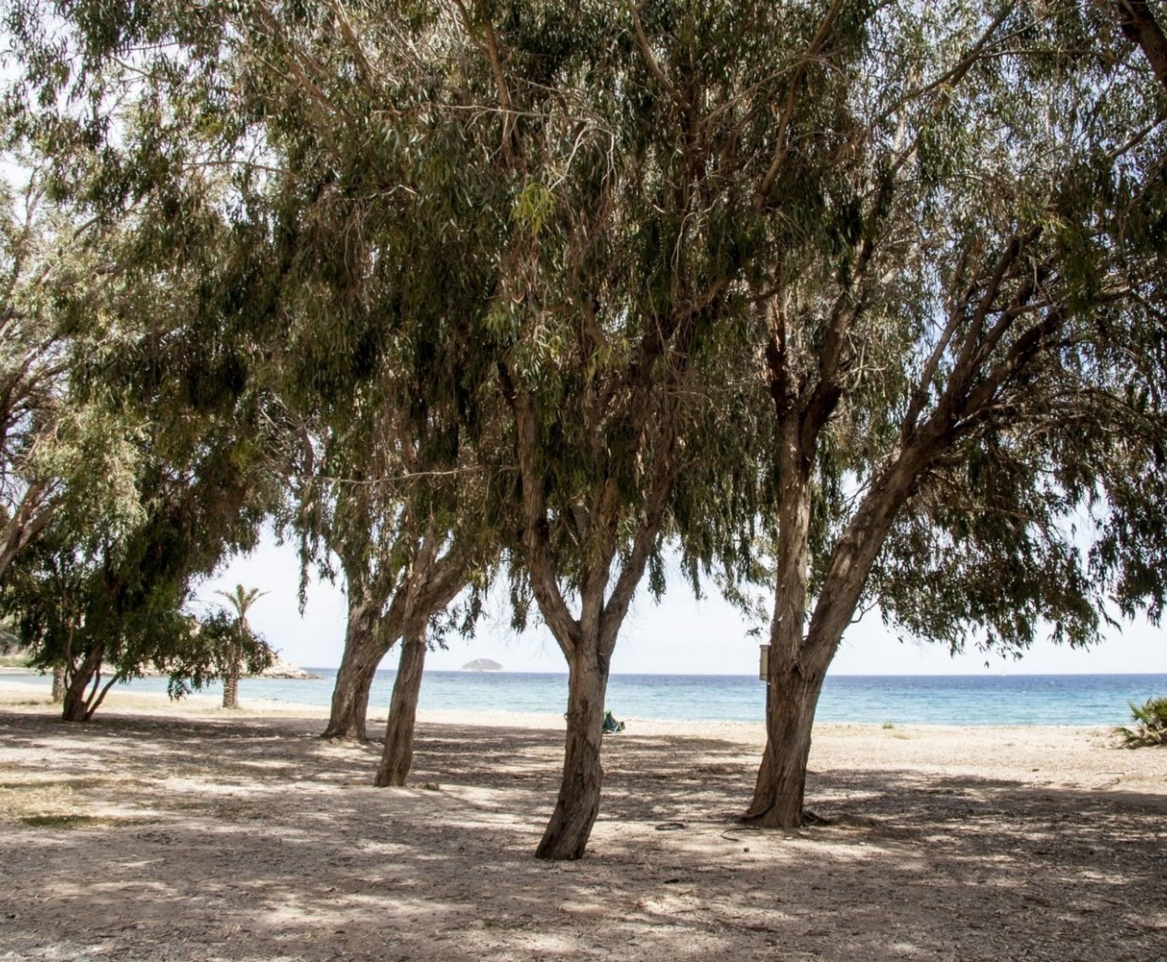 New Build - Apartment - Villajoyosa - Playa Les Torres