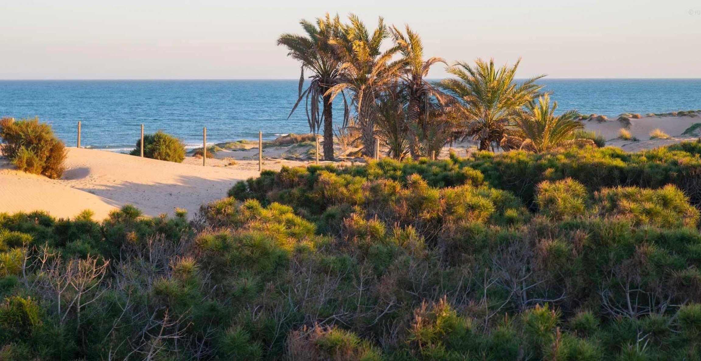 New Build - Apartment - Guardamar del Segura - Avda del Puerto