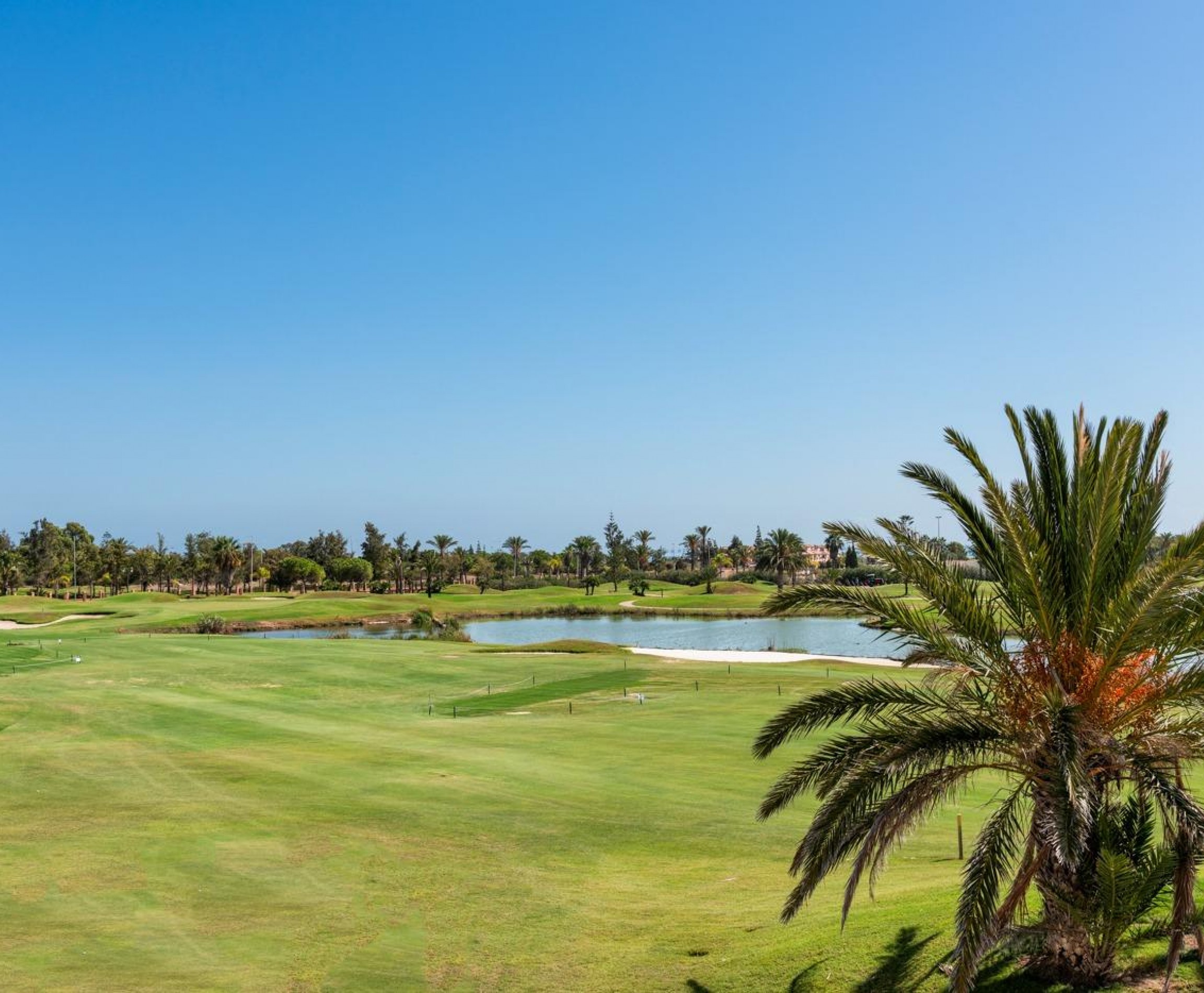 New Build - Villa - Los Alcázares - Serena Golf