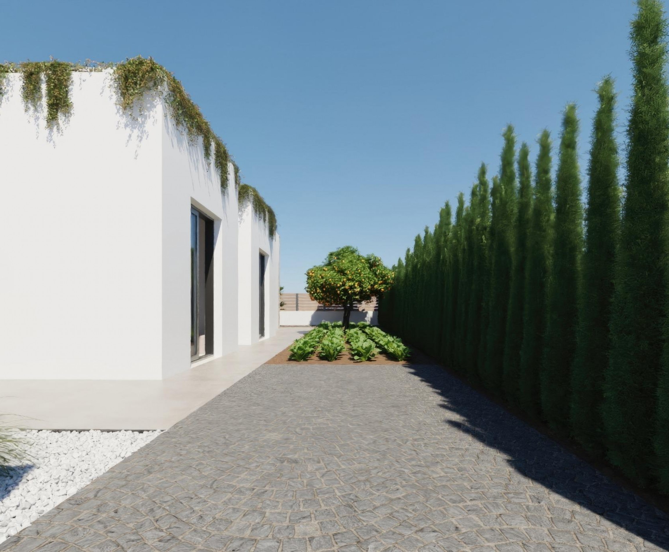 New Build - Villa - Fuente Álamo - Hacienda del Alamo