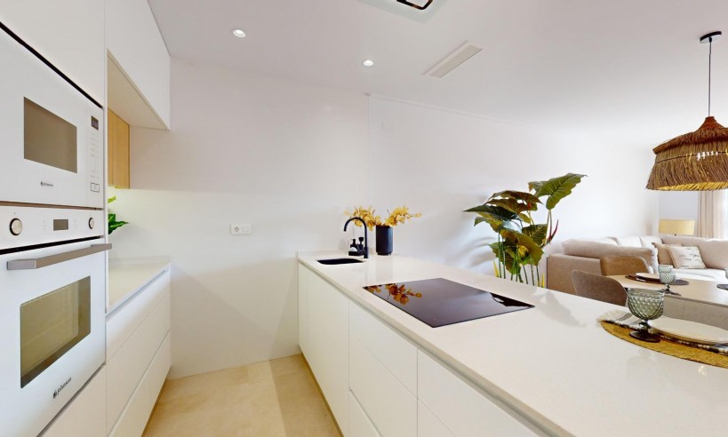 New Build - Penthouse - Guardamar del Segura - EL RASO