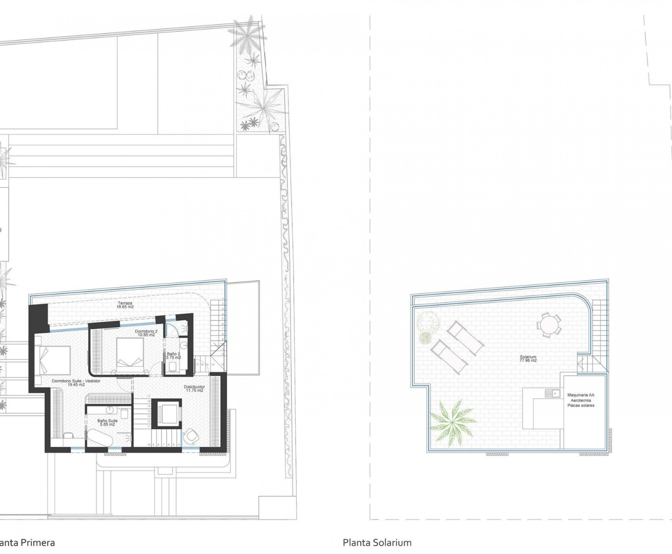New Build - Villa - Cabo de Palos - Cala Flores